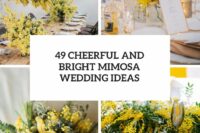 49 cheerful and bright mimosa wedding ideas cover