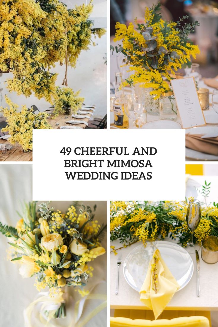 cheerful and bright mimosa wedding ideas cover