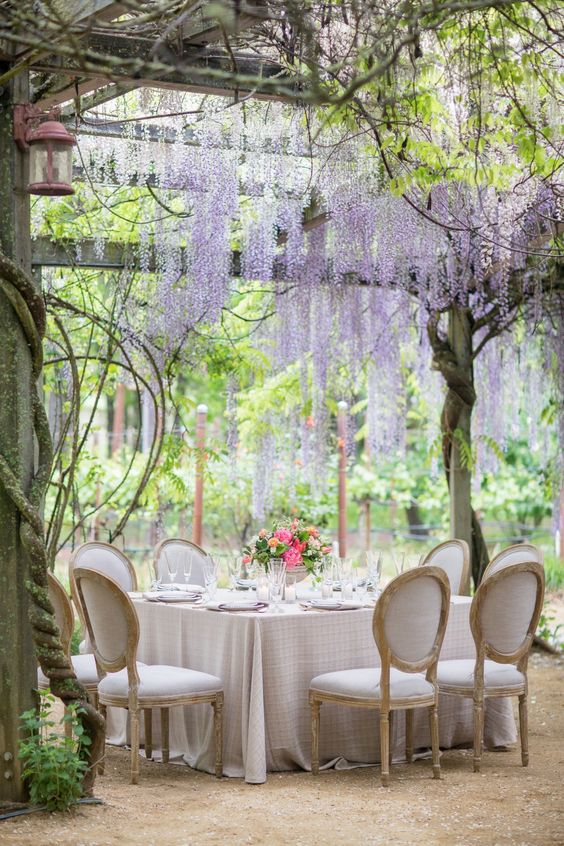 an intimate garden wedding reception space with a chic tablescape and matching chairs with bold blooms and wisteria hanging over the table