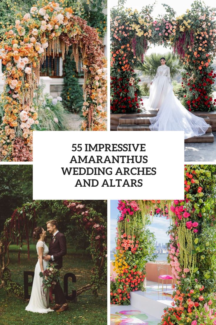 55 Impressive Amaranthus Wedding Arches And Altars