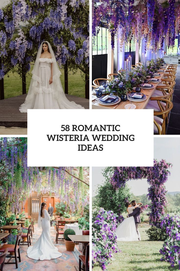 58 Romantic Wisteria Wedding Ideas