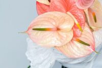 a catchy modern wedding bouquet of blush and coral anthurium is a lovely and bold idea for a modern bride