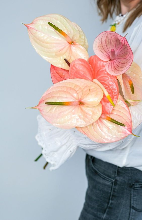 a catchy modern wedding bouquet of blush and coral anthurium is a lovely and bold idea for a modern bride