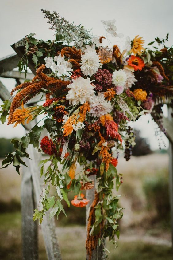a colorful fall wedding arch with white and blush dahlias, red mums, greenery, grasses and amaranthus is a cool idea for a fall wedding