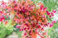 a colorful wedding arch with bougainvillea is a summer wedding solution you may enjoy