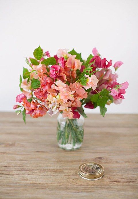 a colorful wedding centerpiece of peachy, fuchsia and coral sweet peas and greenery is amazing for summer