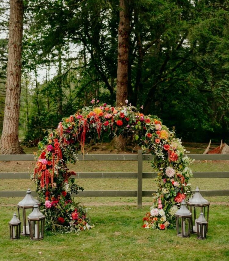 a rounded wedding arch covered with greenery, blush, white, red, fuchsia, yellow, orange dahlias and roses and amaranthus