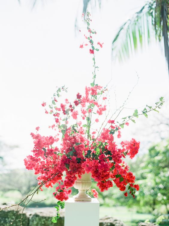 a super lush and dimensional wedding centerpiece of a vintage urn, bougainvillea nd greenery is a stunning idea for summer
