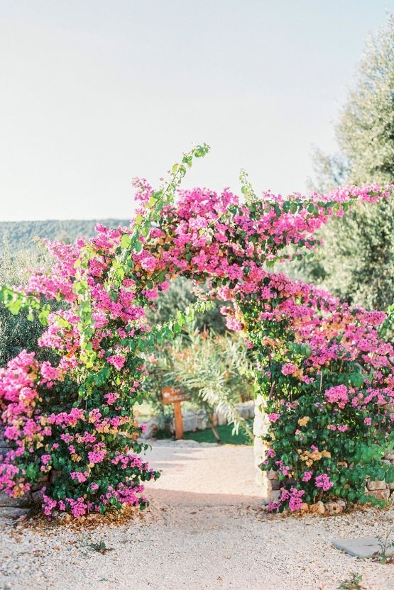 an arched walkway covered with naturally growing bougainvillea and greenery, long branches and orange blooms is a gorgeous natural wedding arch