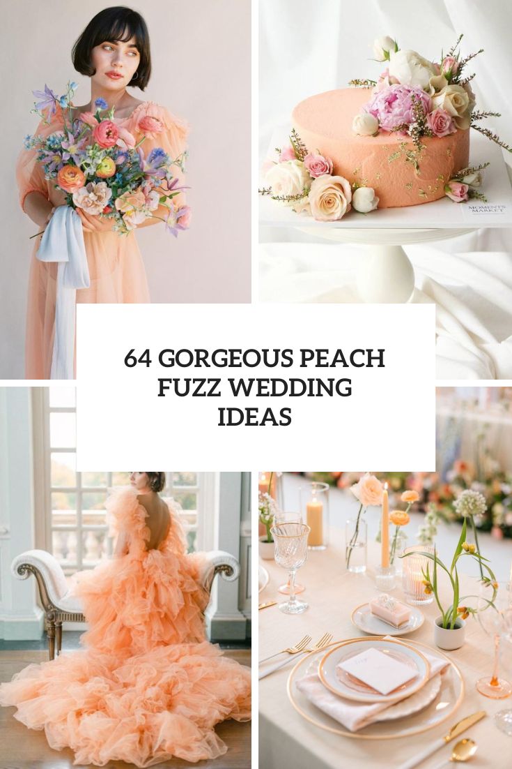 Gorgeous Peach Fuzz Wedding Ideas cover