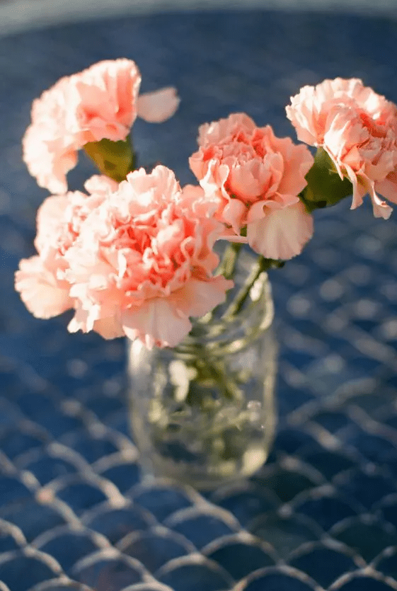 a chic wedding centerpiece of a jar with coral carnations is a lovely idea for a wedding, it can be easily DIYed