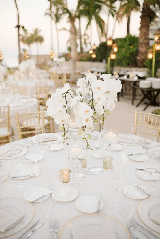 a glam tropical wedding centerpiece with white orchids is a chic idea for any modern wedding, whether it's tropical or some other