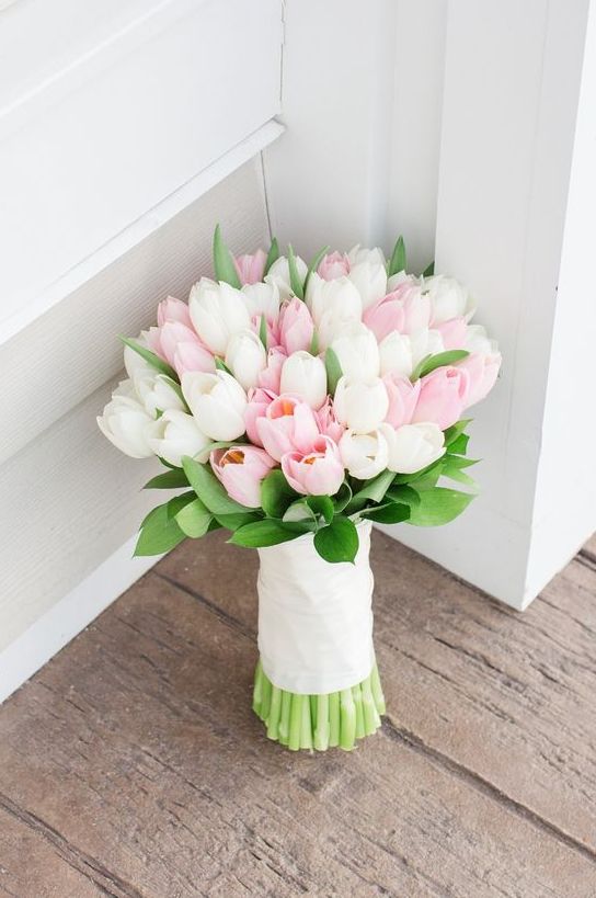 a pretty and cool pink and white tulip bridal bouquet with a white wrap is a traditional soltuion for a spring or summer wedding