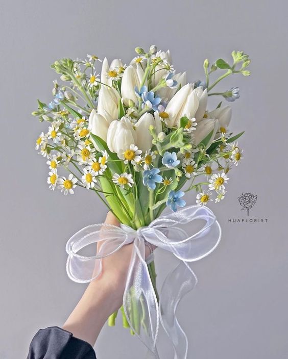 a spring to summer wedding bouquet with white tulips, chamomiles and blue fillers plus a sheer ribbon bow is lovely
