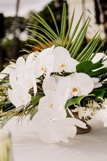 a stylish tropical wedding centerpiece of white orchids and tropical leaves is a cool and catchy idea for a modern tropical wedding
