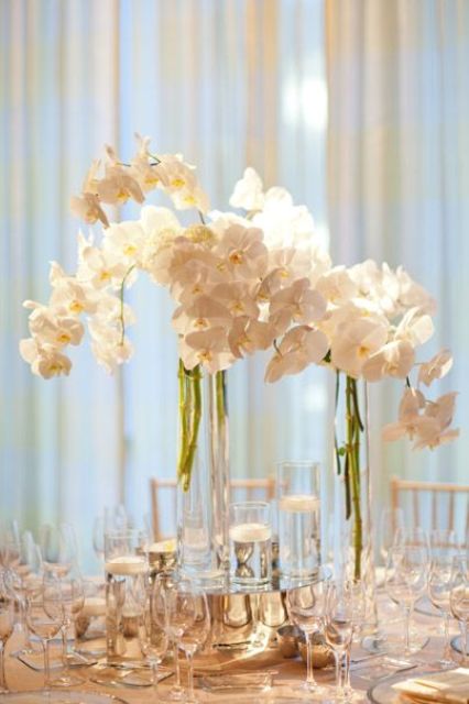 a tall wedding centerpiece composed of white orchids is a super chic and timeless idea for any wedding in any season