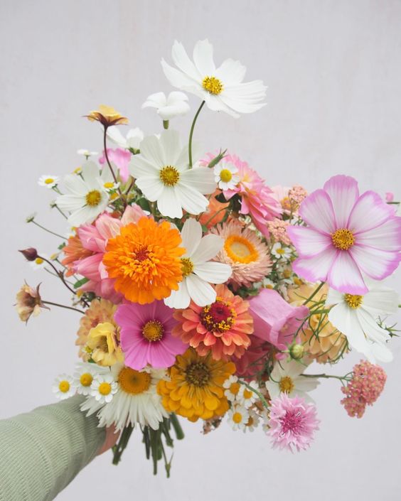 a bold wedding bouquet of white and hot pink cosmos, orange and yellow blooms, chamomiles is a cool idea for summer