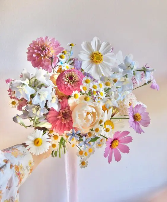 a colorful wedding bouquet of pink and white cosmos, chamomiles, pink mums and dahlias and some blue fillers