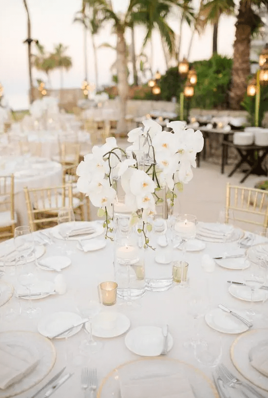 a glam tropical wedding centerpiece with white orchids is a chic idea for any modern wedding, whether it’s tropical or some other