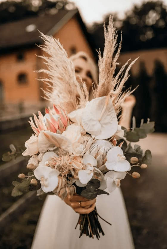 a neutral wedding bouquet of white orchids, king proteas, white anthurium, grasses and euclayptus is cool for a boho bride