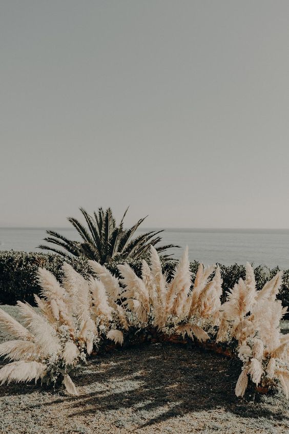 A semi circle boho pampas grass wedding altar with a sea view is a perfect space to tie the knot