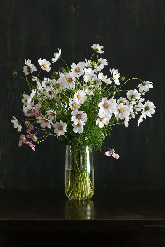a super easy wedding centerpiece of white and pink cosmos is great for casual spring and summer weddings