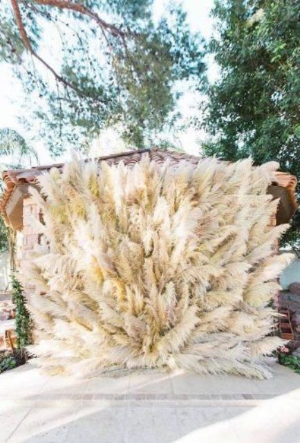 a super lush and catchy pampas grass wedding backdrop will be perfect for a wedding in boho style