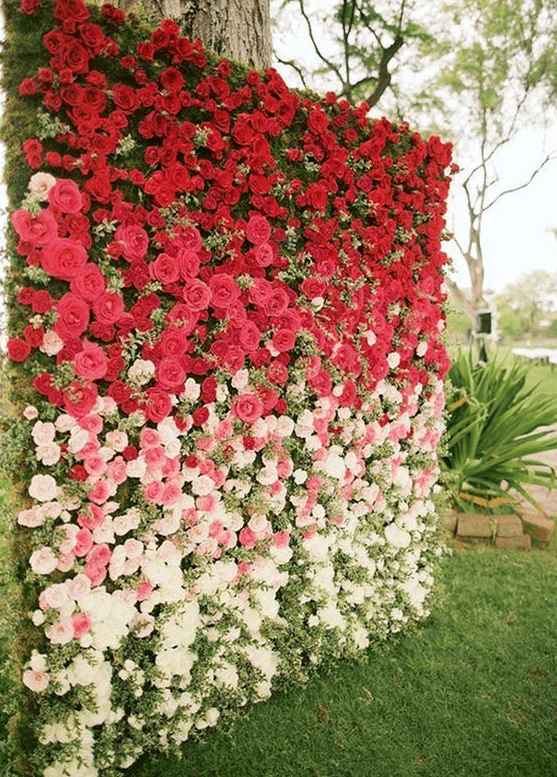 an ombre floral wall from red to light pink and white blooms plus textural greenery for a bold wedding backdrop