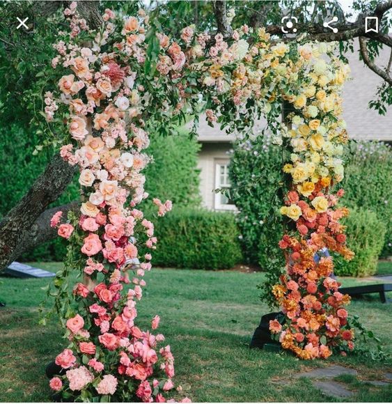 an ombre wedding arch from pink to light pink, yellow and orange is a very eye-catchy idea for a bright wedding