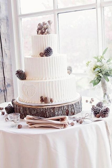 a white textural woodland wedding cake decorated with pinecones and acorns, with squirrel toppers is a very cool idea