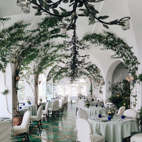 a wedding venue fully covered with vines climbing up the walls and arches looks dreamy, elegant and beautiful