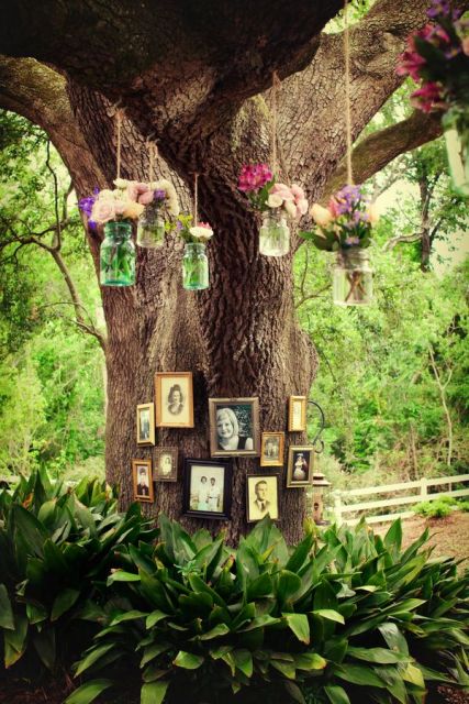 a real tree with family photos on them and bright blooms in jars hanging down from the tree