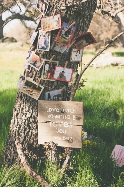 a real tree with lots of family photos attached to it, a sign for a summer wedding outside