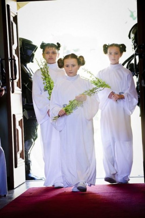 flower girls and bridesmaids dressed as Padme are a very cool and creative idea to rock