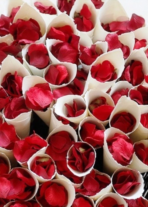 red rose petals in cones as Valentine's Day wedding confetti are a lovely idea, use natural ones to go eco-friendly