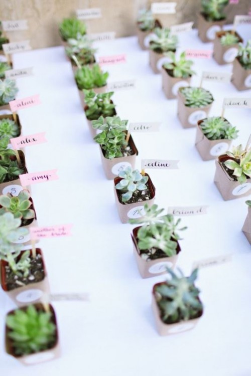 wedding favors - succulents in tiny pots with marks are a trendy and budget-friendly idea for a wedding