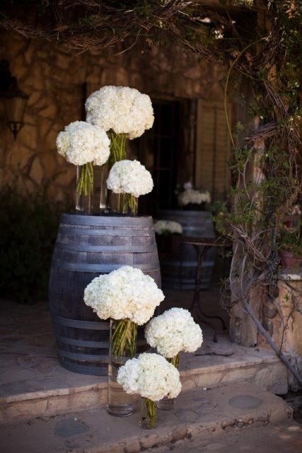 dark stained barrels with white hydrangeas are amazing for rustic and simple wedding decor