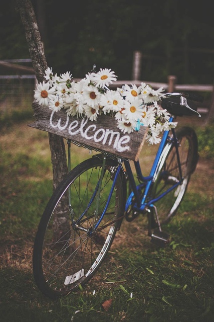 a blue bike decorated with chamomiles, a wooden sign is a pretty and cool idea for a rustic wedding