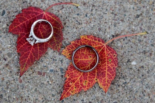 display your wedding bands on beautiful and bold fall leaves to embrace the season and make them look cooler