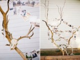 a tree of branches with a skull and antlers and lots of photos hanging is a pretty decoration or centerpiece to rock