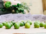 limes as favors and escort card holders are great and fun for a tropical wedding