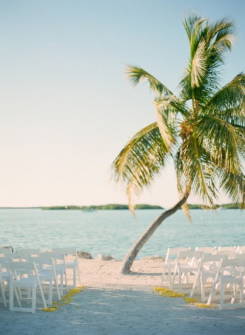a simple and romantic beach wedding space with a palm tree and white chairs and petals on the sand is lovely