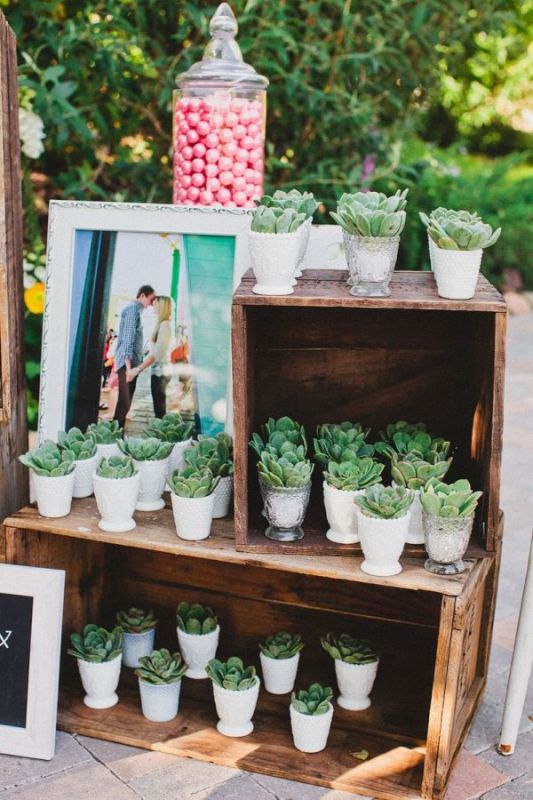 Awesome Ways To Use Succulents In Your Wedding