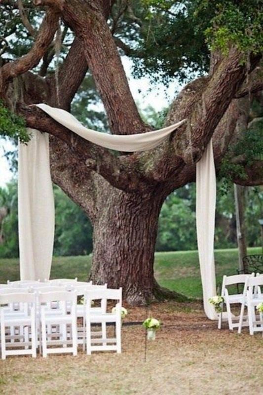 A lovely backyard wedding ceremony space with a living tree decorated with neutral fabric, with white chairs and white hydrangeas and greenery to decorate the aisle