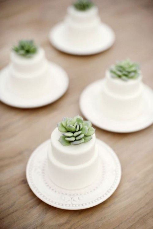 a white individual cake with a succulent on top is a stylish dessert for a modern or boho wedding