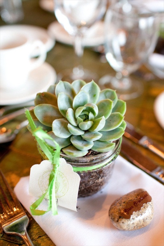 a mason jar with a succulent is a cool wedding favor for a rustic or some other wedding, make some yourself