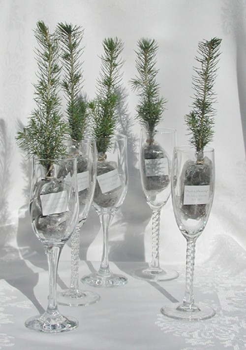 mini Christmas tree branches in fabric placed into champagne glasses are lovely and chic for a Christmas wedding