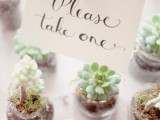 potted mini succulents are timeless wedding favors, they are suitable for almost any wedding