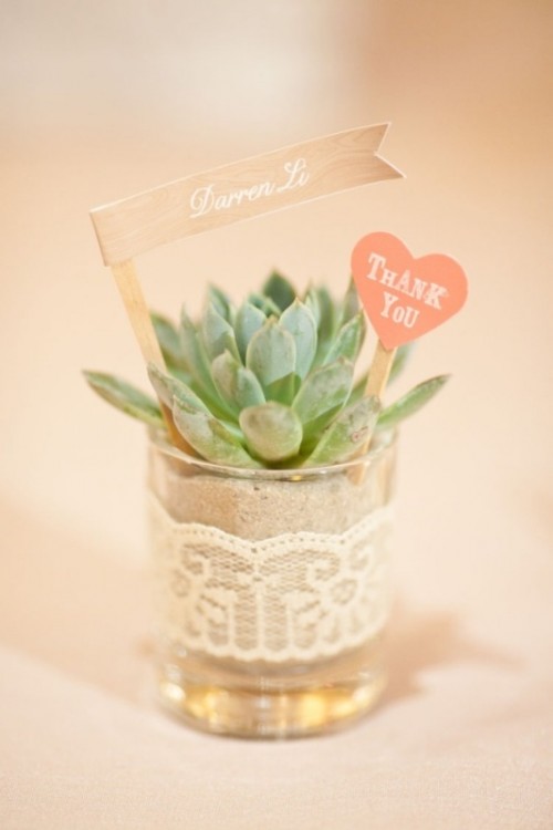 a succulent in a glass wrapped with lace and accented with toppers is a lovely beach wedding favor