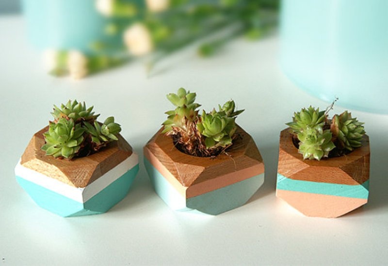 succulents in geometric mini planters of wood painted bright are great as wedding favors or as part of wedding decor and centerpieces